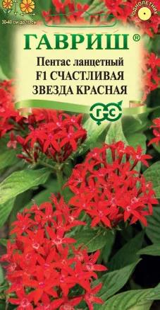 Пентас ланцетный Счастливая звезда красная, гран.пробирка (Гавриш) Ц