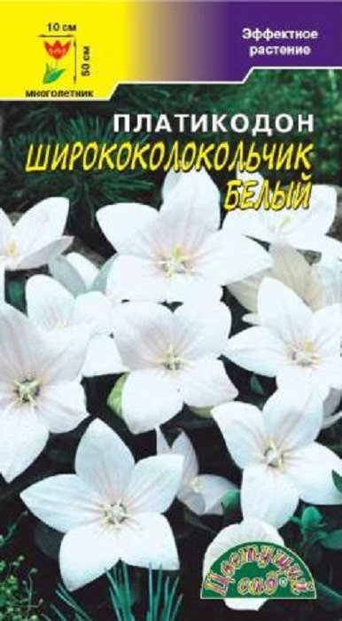 Платикодон Белые звезды ширококолокольчиковый крупноцветковый (Цветущий Сад) Ц