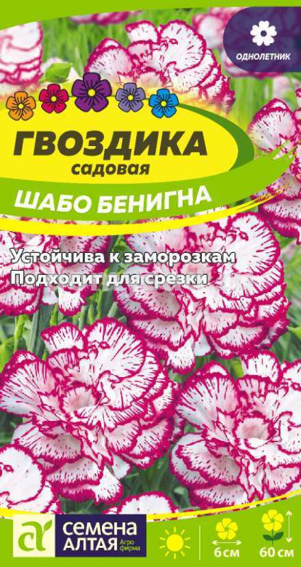 Гвоздика садовая Шабо Бенигна cадовая (Семена Алтая) Ц
