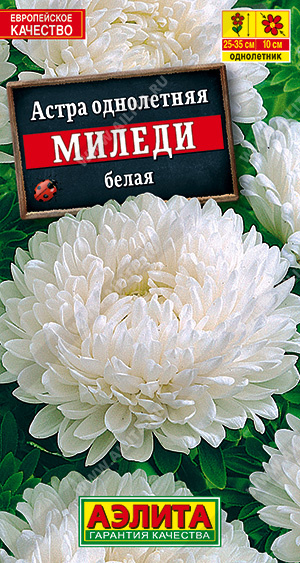 а.Миледи белая (Аэлита) Ц