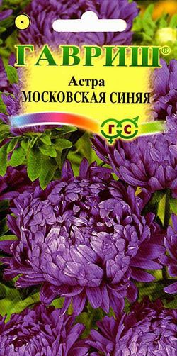 а.Московская Синяя пионовидная (Гавриш) Ц