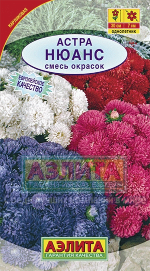 а.Нюанс карликовая смесь окрасок (Аэлита) Ц