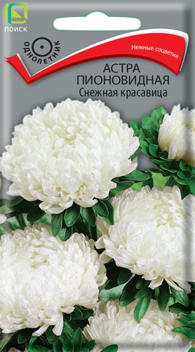 а.Пионовидная Снежная красавица (Поиск) Ц