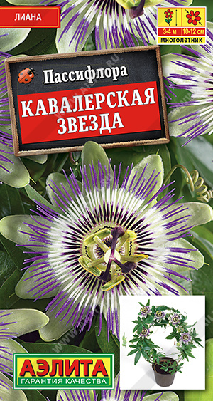 Пассифлора Кавалерская звезда (Аэлита) Ц