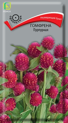 Гомфрена Пурпурная (Поиск) Ц