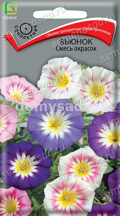 Вьюнок Смесь окрасок (Поиск) Ц
