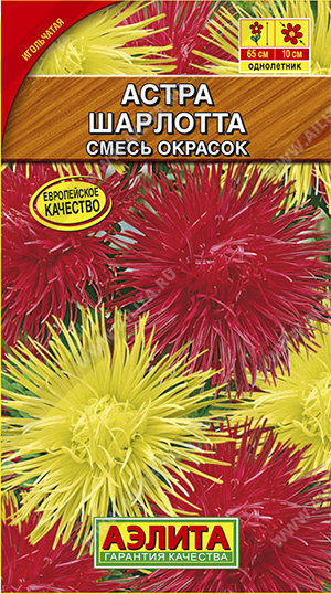 а.Шарлотта смесь окрасок (Аэлита) Ц