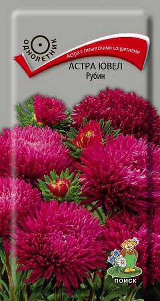 а.Ювел Рубин 0,2гр. (Поиск) Ц