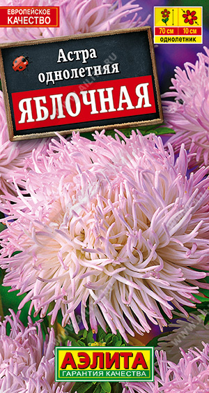 а.Яблочная (Аэлита) Ц