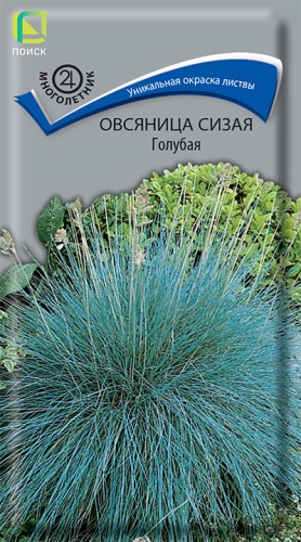 Овсяница сизая Голубая 0,1гр. (Поиск) Ц