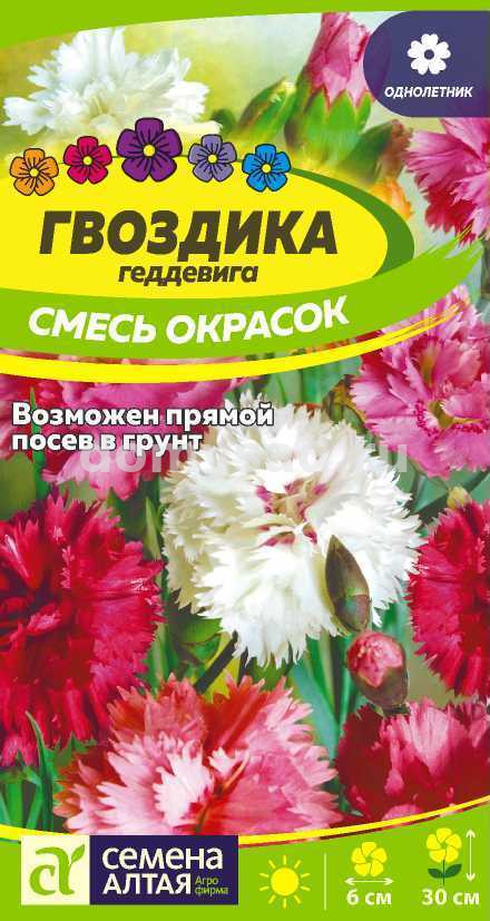 Гвоздика Смесь Геддевига (Семена Алтая) Ц