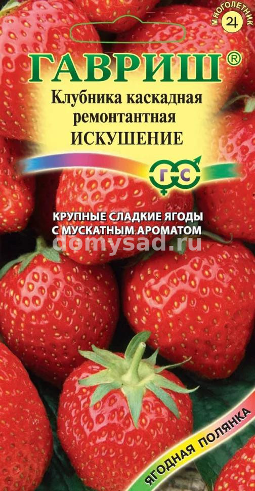 Земляника (Клубника) Ампельная Искушение пробирка 10шт. (Гавриш) Ц