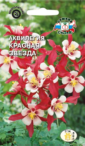 Аквилегия Красная звезда (Седек) Ц