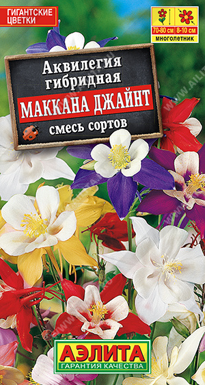 Аквилегия Маккана Джайнт, смесь окрасок (Аэлита) Ц