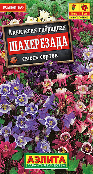 Аквилегия Шахерезада, смесь окрасок (Аэлита) Ц