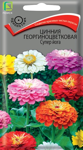 Цинния георгиноцветковая Супер йога (Поиск) Ц