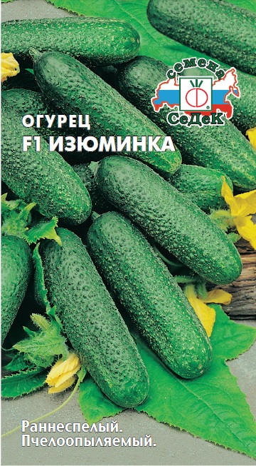 ог.Изюминка (Седек) Ц