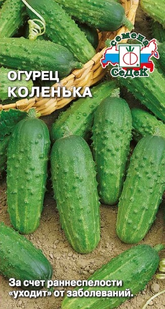 ог.Коленька (Седек) Ц