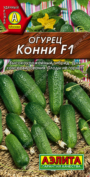 ог.Конни F1 (Аэлита) Ц