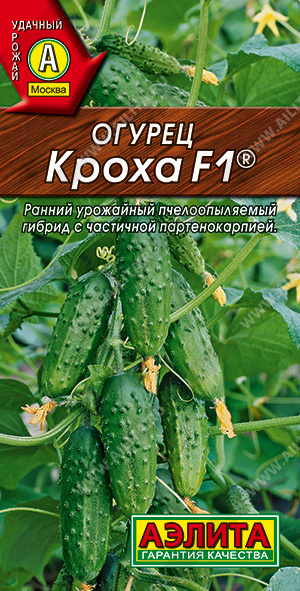 ог.Кроха (Аэлита) Ц