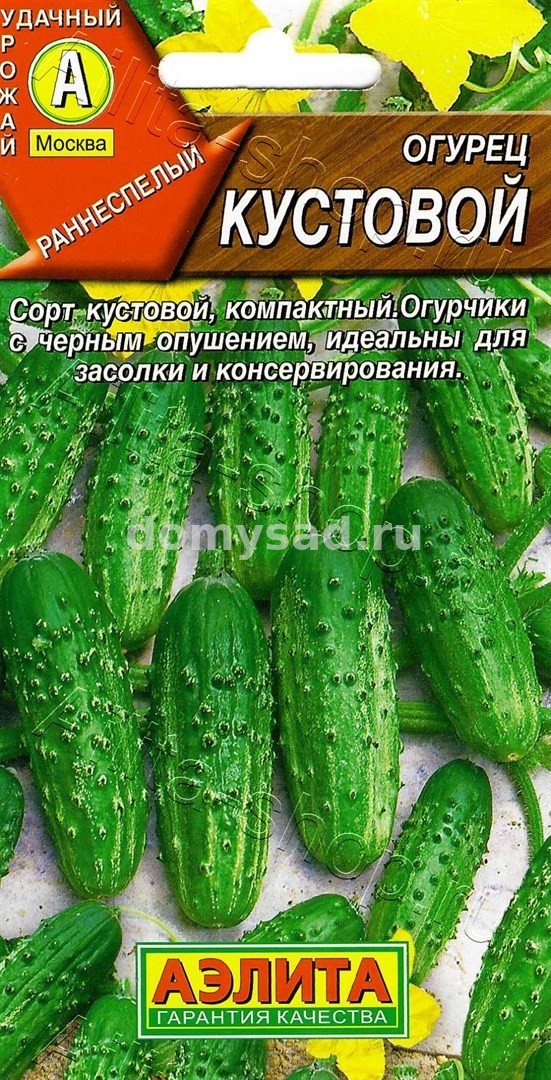 ог.Кустовой (Аэлита) Ц