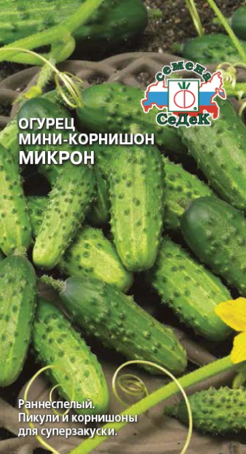 ог.Микрон (Седек) Ц