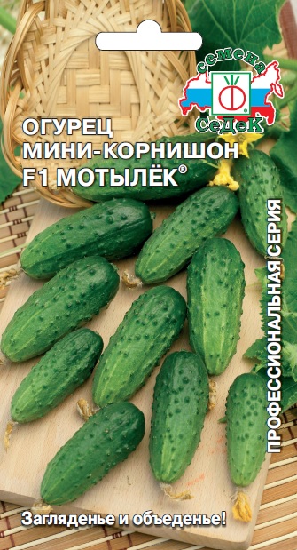 ог.Мотылек (Седек) Ц