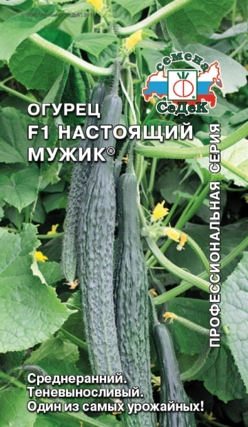 ог.Настоящий мужик F1 (Седек) Ц