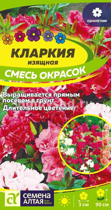 Кларкия изящная Смесь окрасок (Семена Алтая) Ц