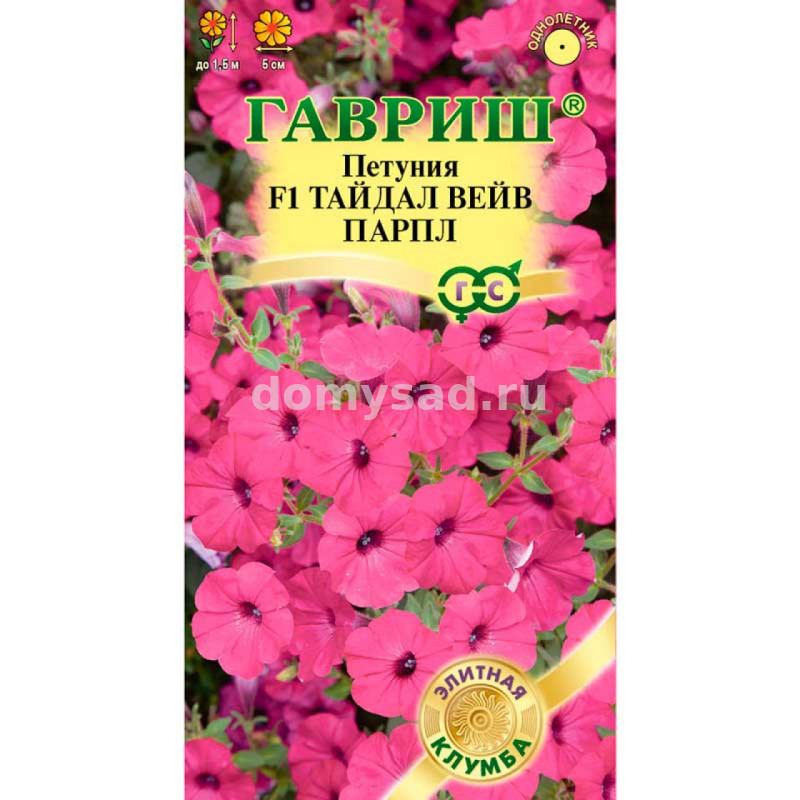 Петуния Тайдал Вейв парпл F1 (Минитуния) суперкаскад. 4шт. (Гавриш) Ц