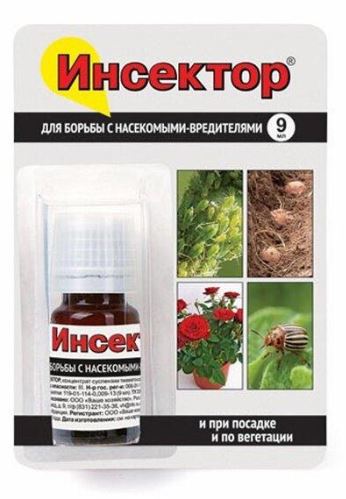 АКЦИЯ ИНСЕКТОР фл.9мл.(100) ВХ обработка клубней картофеля от колорадского жука