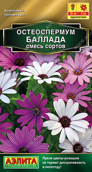 Остеоспермум Баллада смесь (Аэлита) Ц