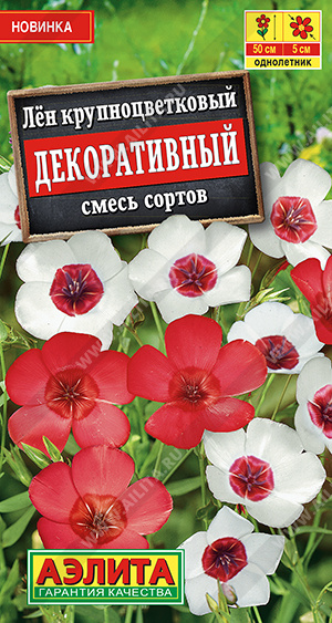 Лен крупноцветковый Декоративный, смесь сортов (Аэлита) Ц