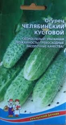 ог.Челябинский Кустовой F1 (Уральский Дачник) Ц