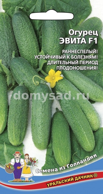 ог.Эвита F1 (Уральский дачник) Ц