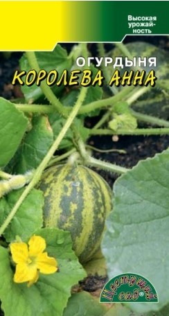 Огурдыня Королева Анна (Цветущий сад) Ц