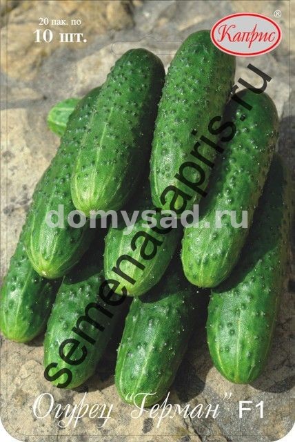 Огурец Герман проф. упаковка (100шт.) (Нидерланды) (Каприс)