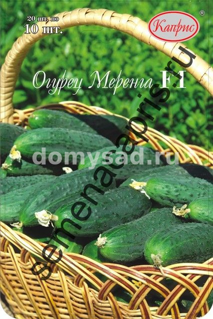 Огурец Меренга F1 п.3110 (Нидерланды) НАБОР 20 ПАЧЕК (Каприс)