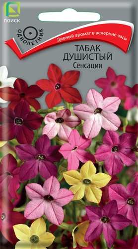 Табак Душистый Сенсация (Поиск) Ц