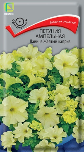 Петуния Лавина Желтый каприз F1 ампел. (Поиск) Ц