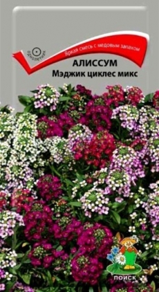 Алиссум Мэджик циклес микс 0,1 гр. (Поиск) Ц