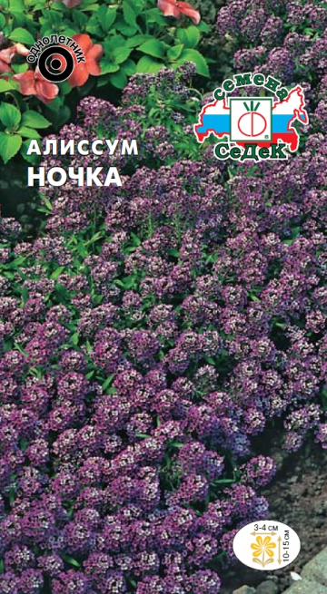 Алиссум Ночка морской (Седек) Ц