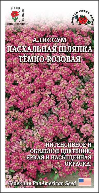 Алиссум Пасхальная Шляпка Темно-Розовый (Золотая Сотка Алтая) Ц