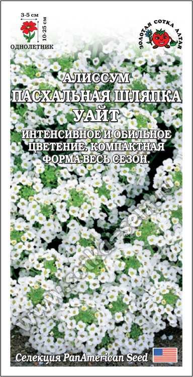 Алиссум Пасхальная Шляпка Уайт (Золотая Сотка) Ц