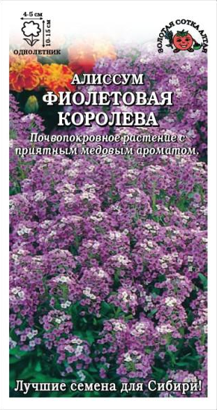 Алиссум Фиолетовая королева 0,1гр. (Золотая Сотка) Ц