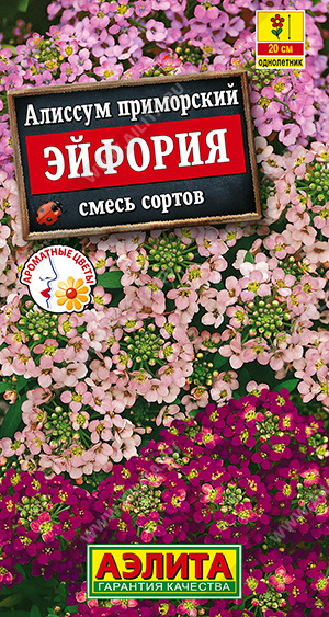 Алиссум Эйфория, смесь окрасок (Аэлита) Ц
