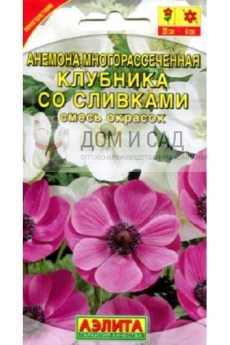 Анемона Клубника со сливками смесь окрасок (Аэлита) Ц