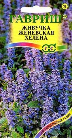 Антигонон Лиана любви 5шт. (Гавриш) Ц