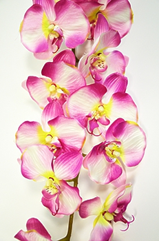 Орхидея фаленопсис одиночная перс.h-124см. 16-0073
