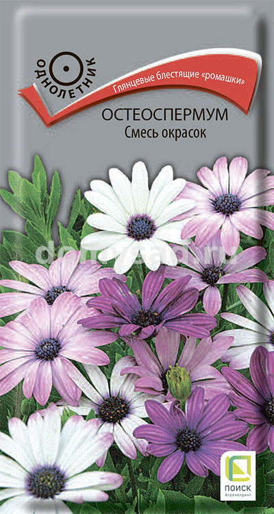 Остеоспермум Смесь окрасок 0,1гр. (Поиск) Ц